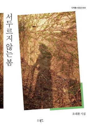 서두르지 않는 봄