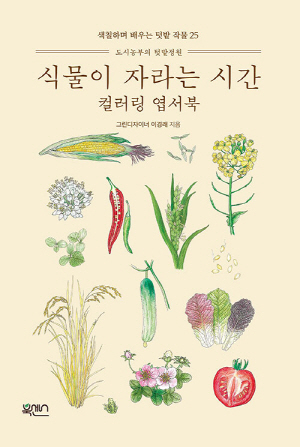 식물이 자라는 시간