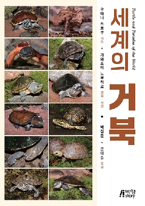세계의 거북