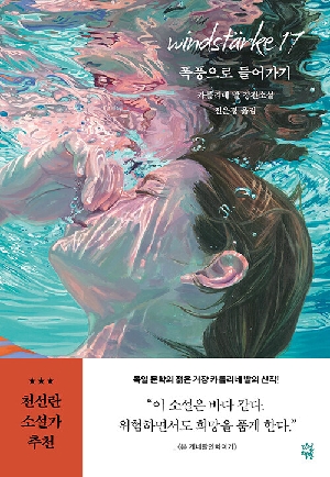 폭풍으로 들어가기