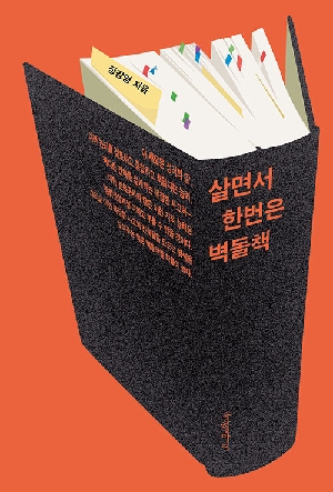 살면서 한번은 벽돌책 (큰글자도서)