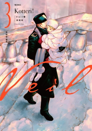 VEIL 3