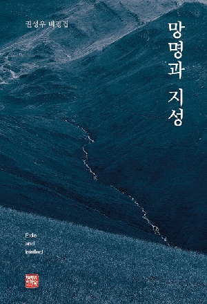 망명과 지성