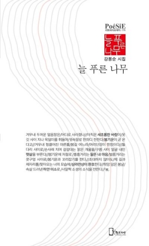 늘 푸른 나무