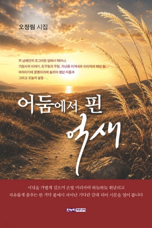 어둠에서 핀 억새