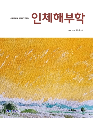 인체해부학