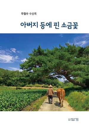 아버지 등에 핀 소금꽃
