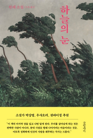 하늘의 눈