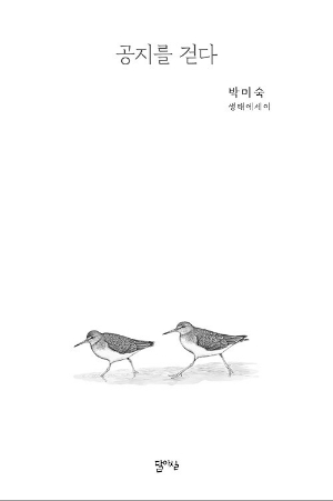 공지를 걷다
