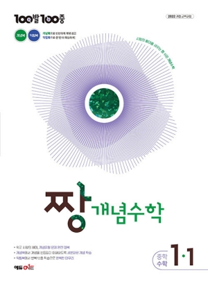 100발 100중 짱 개념수학 중학수학 1-1