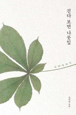 걷다 보면 나뭇잎