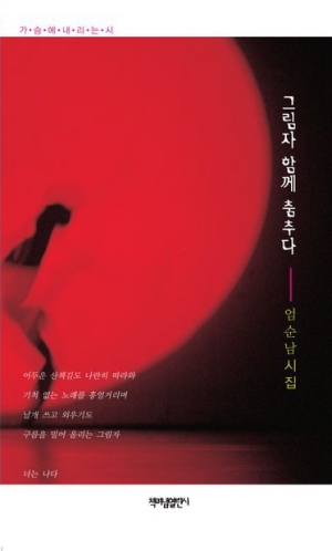 그림자 함께 춤추다