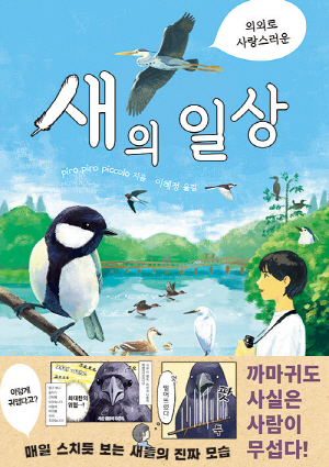 의외로 사랑스러운 새의 일상